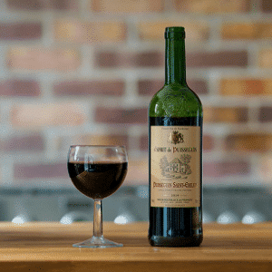 Esprit de Puisseguin